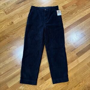 Patagonia Wide Wale Corduroy Pants Womens 8 Pitch Blue Gorpcore Hiking NWT